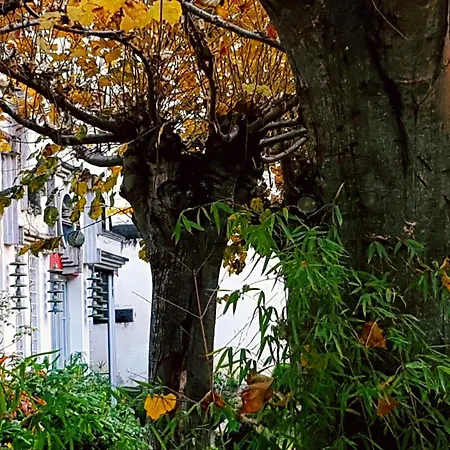 Apartment Zentral Club Proton-jacuzzi Belmonte De Miranda