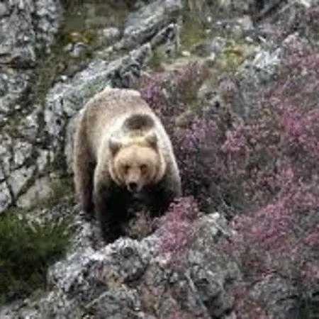 Zentral Club Proton-jacuzzi