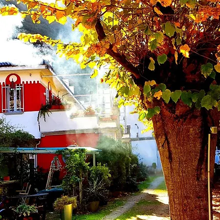 Zentral Club Proton-jacuzzi