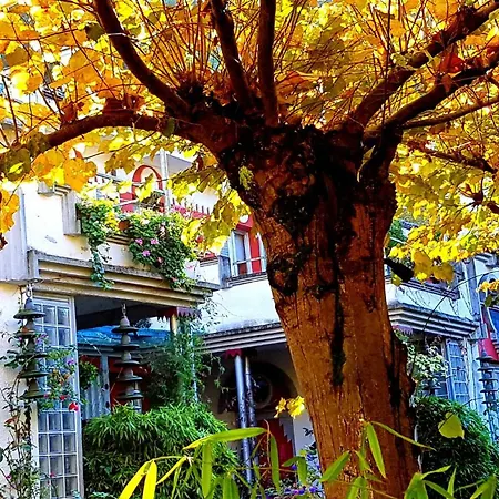 Zentral Club Proton-jacuzzi Belmonte De Miranda